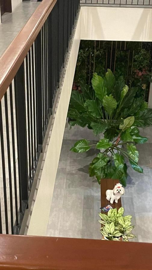 A&E Apartelle Bacolod Bagian luar foto